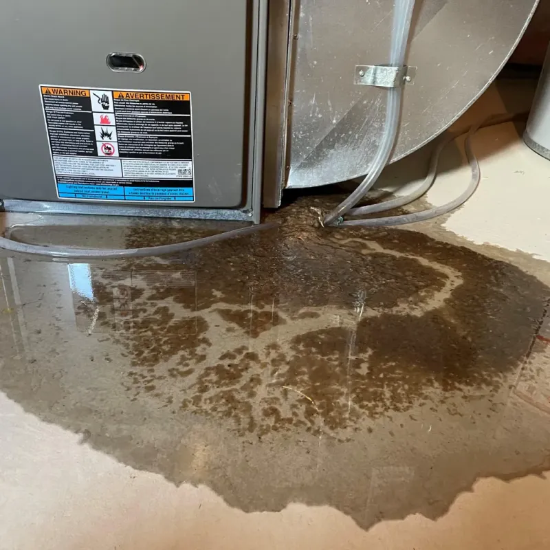 Appliance Leak Cleanup in Lihue, HI