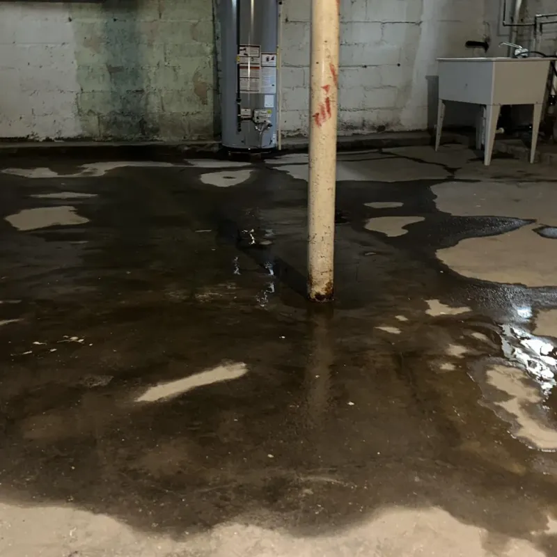 Emergency Water Extraction And Removal in Lihue, HI